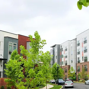 Modern 1bd Studio Apt In Plaza Midwood With Community Pool Apartment Charlotte